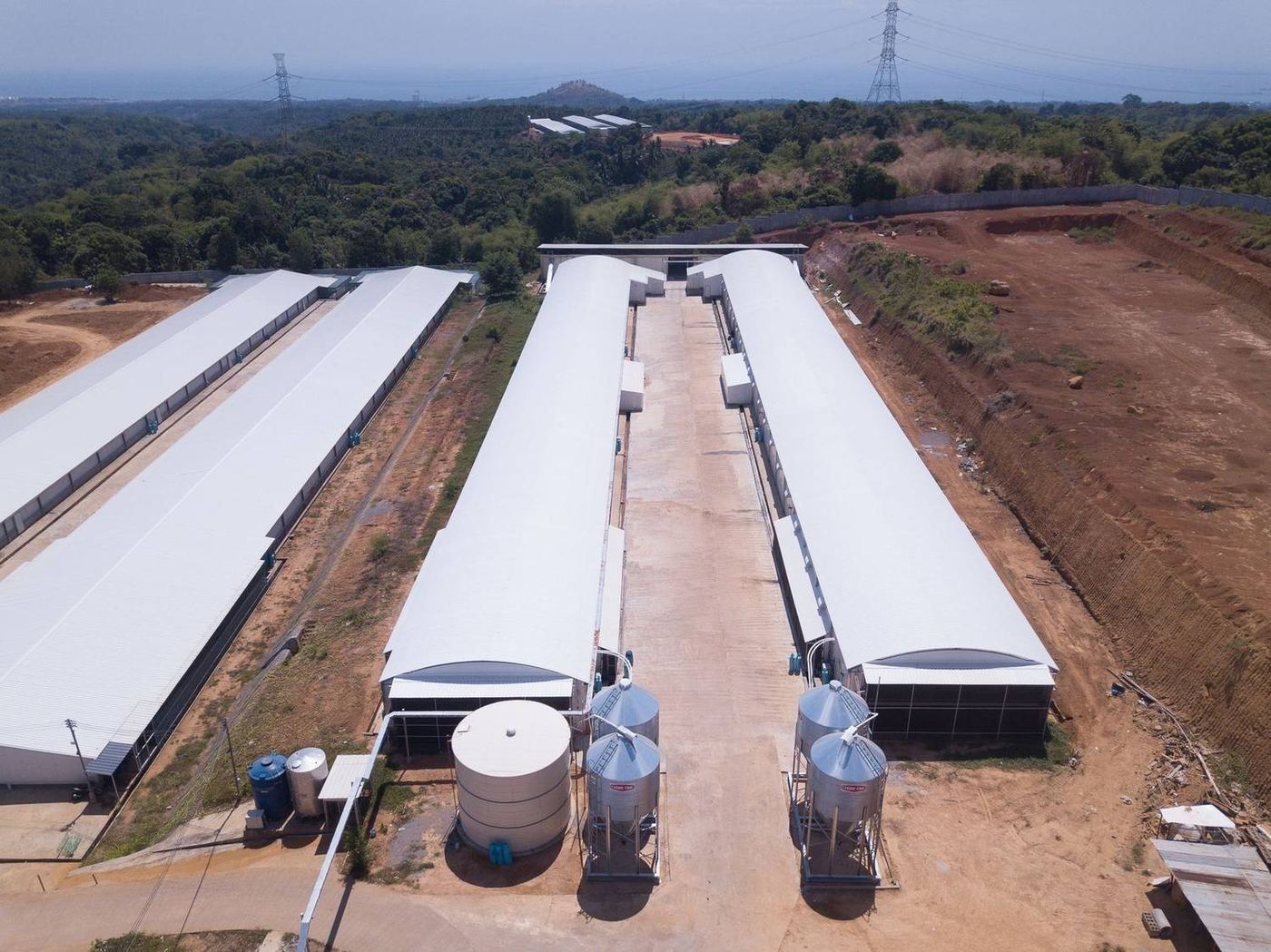 AFI poultry complex with feed silos, aerial view