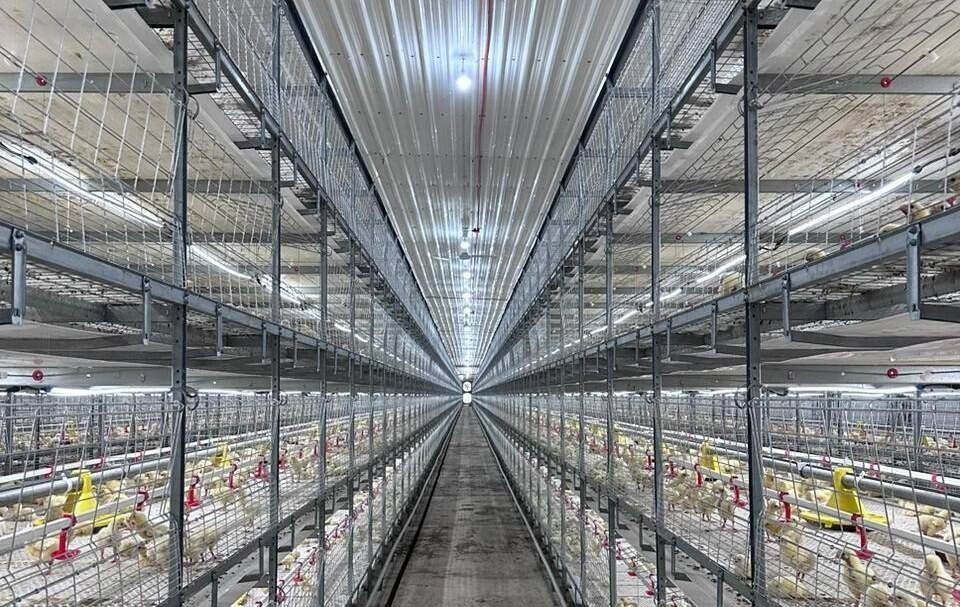 VALLI multi-tier broiler house