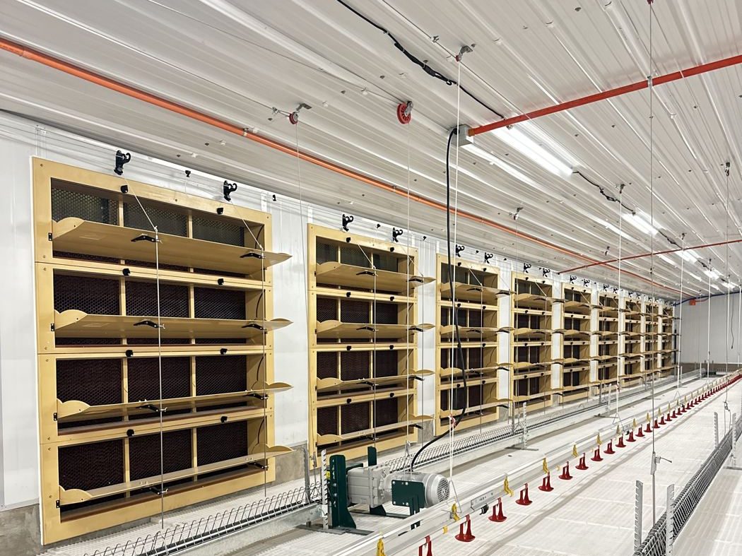 TPI tunnel units open in a layer breeder house