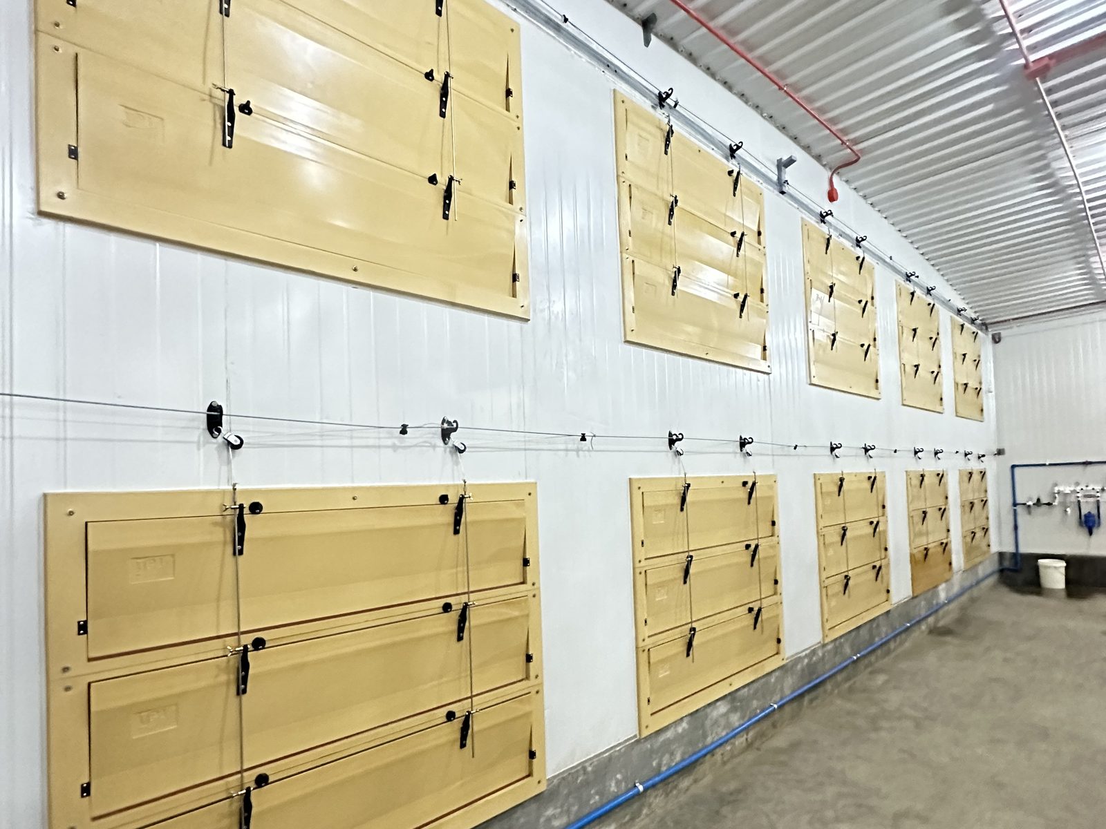TPI 6000 series tunnel units inside a multi-tier broiler house