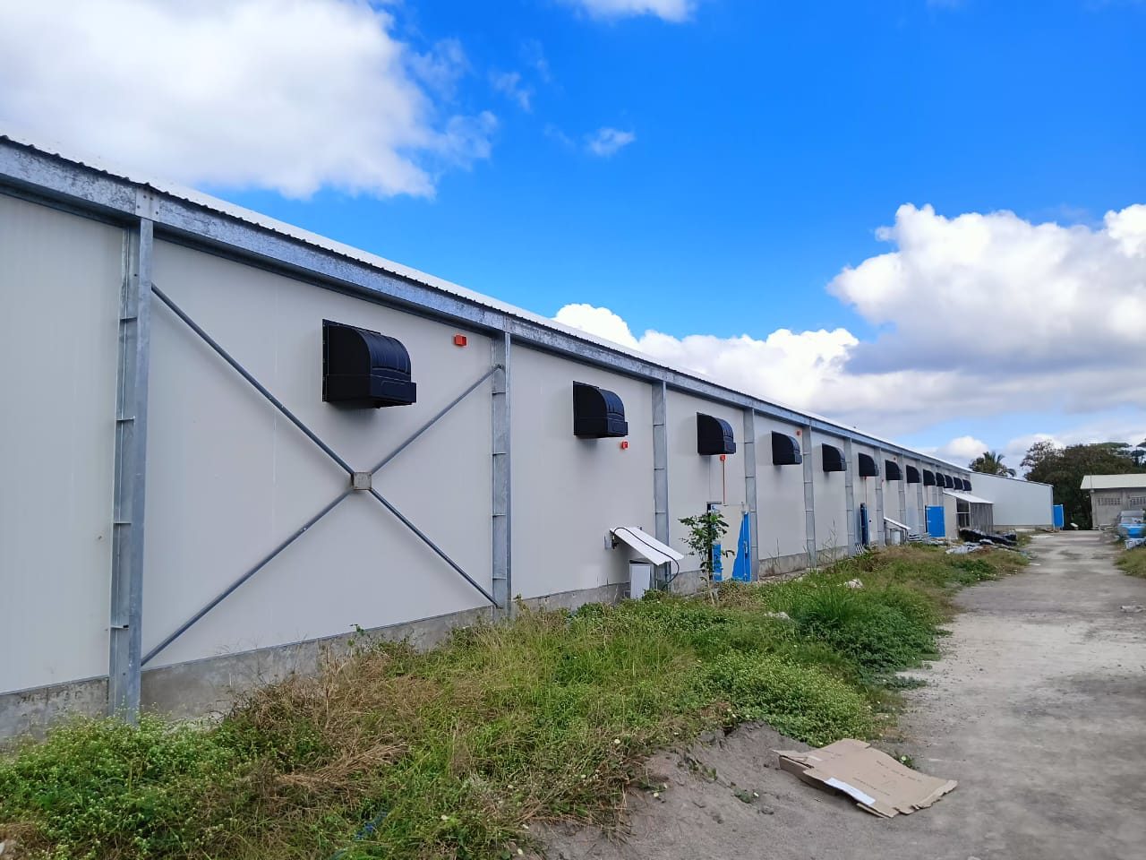 TPI side wall inlets with wind hoods on the outside of an AFI multi-tier house