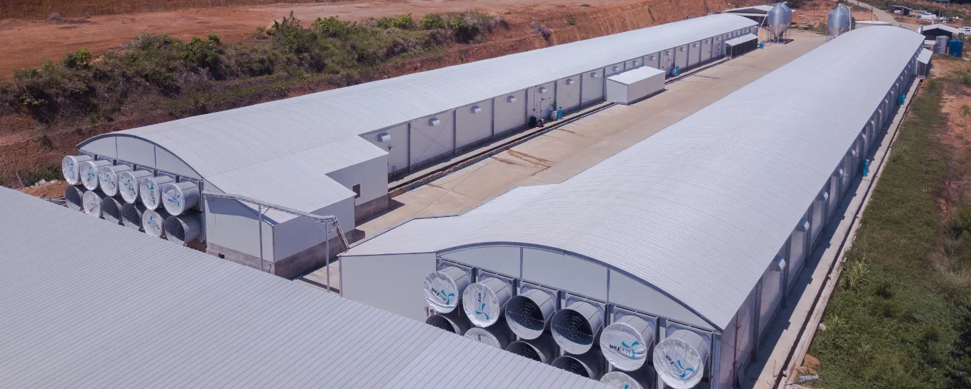 Elevated Broiler